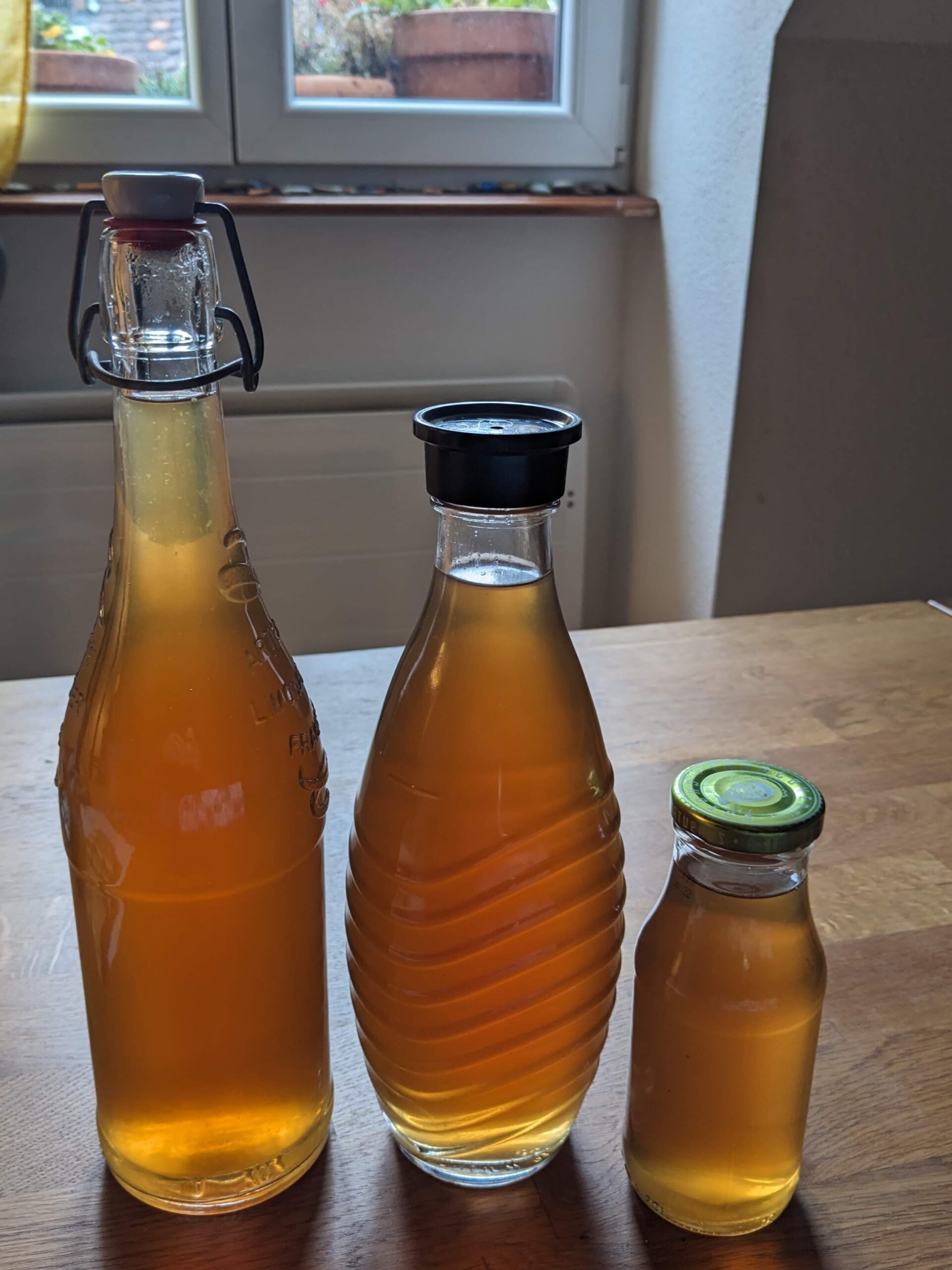 Sirop de menthe du jardin