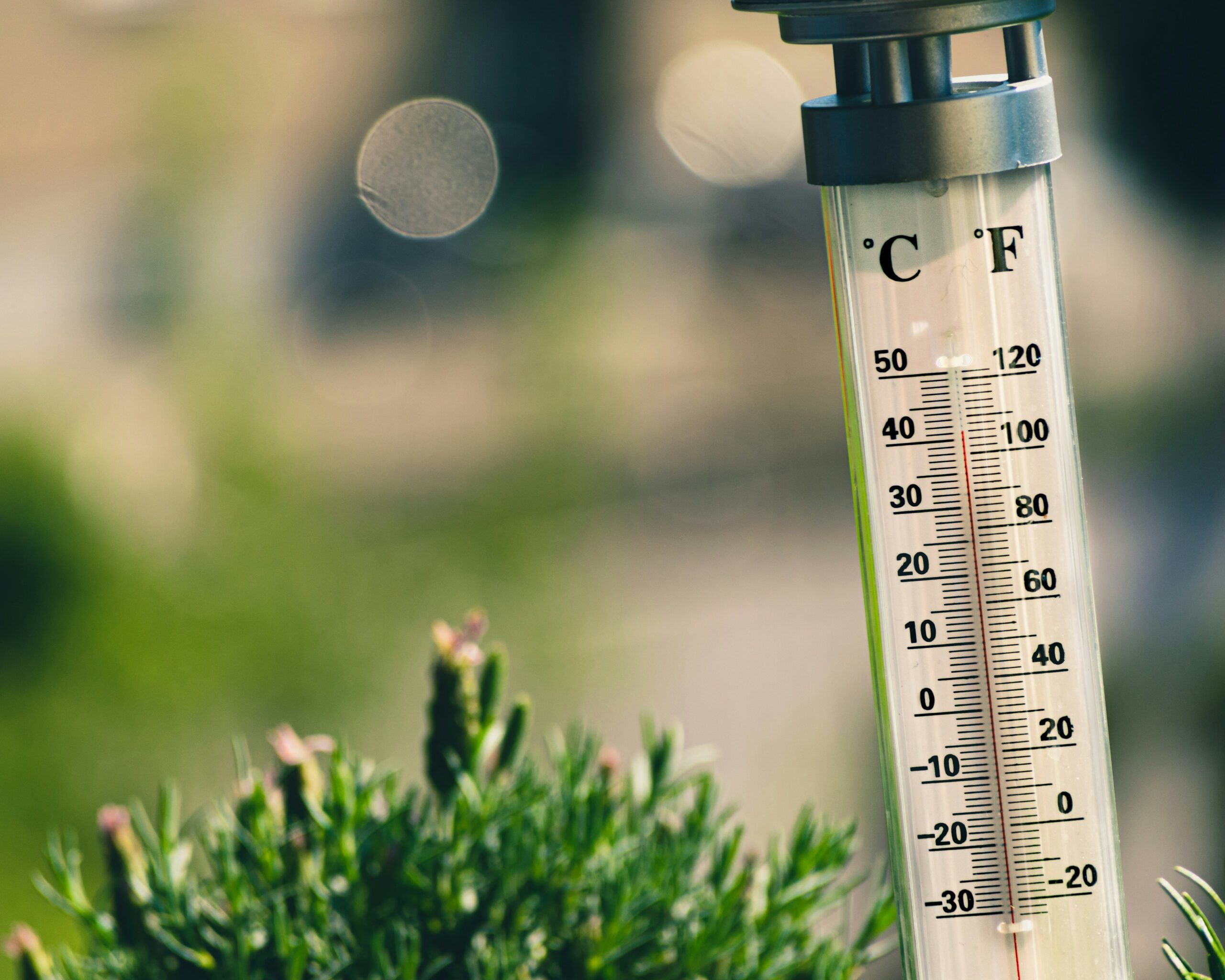 Périodes de canicule